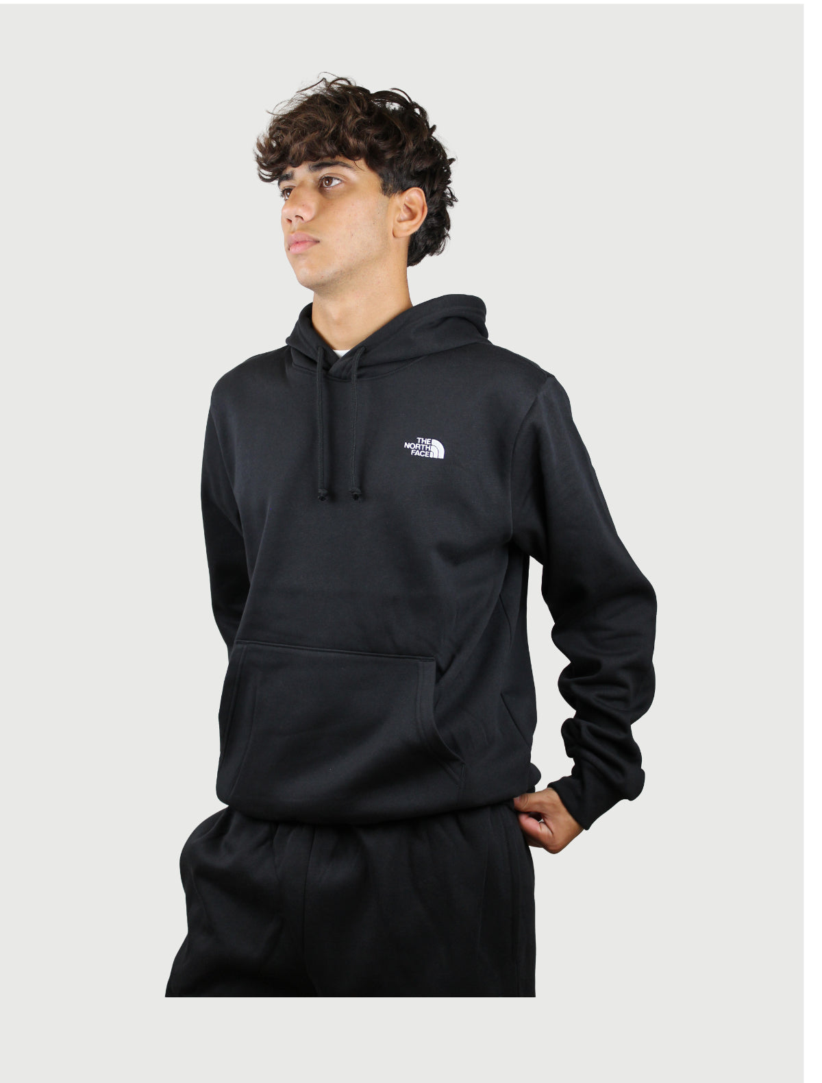 THE NORTH FACE - FELPA EVO CON CAPPUCCIO-3