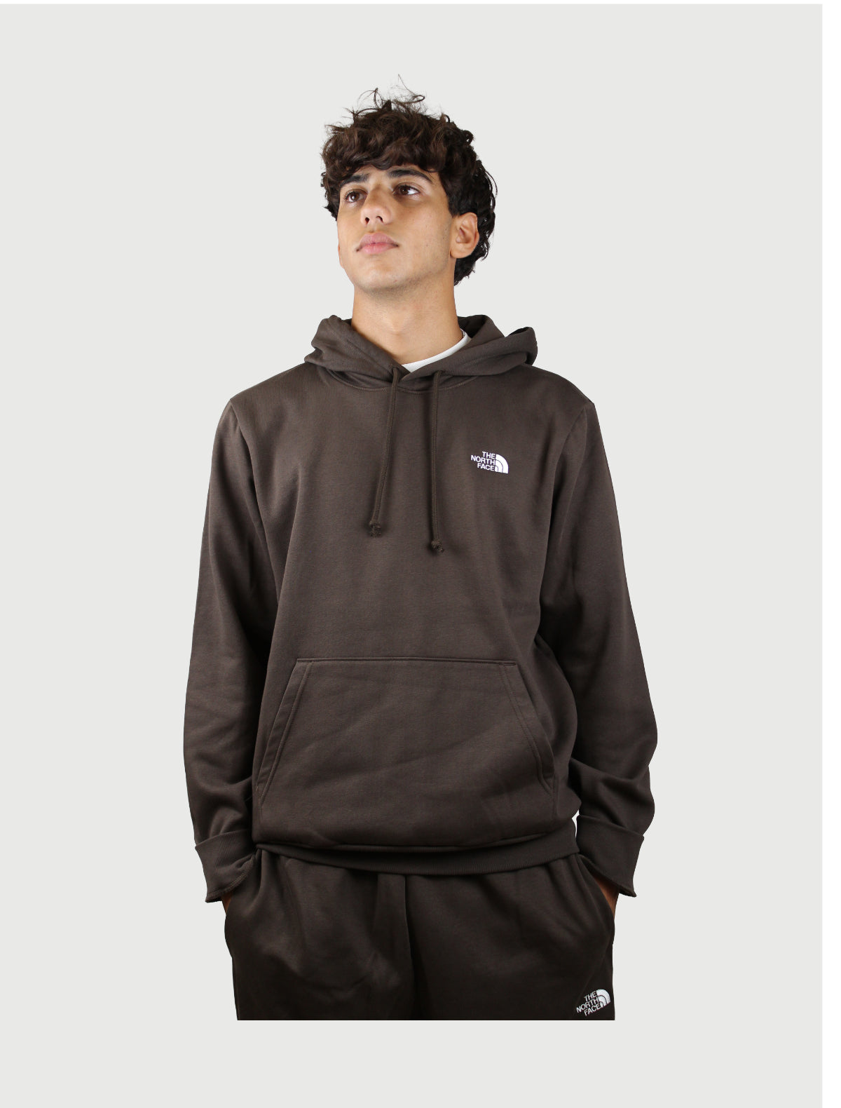 THE NORTH FACE - FELPA EVO CON CAPPUCCIO-1