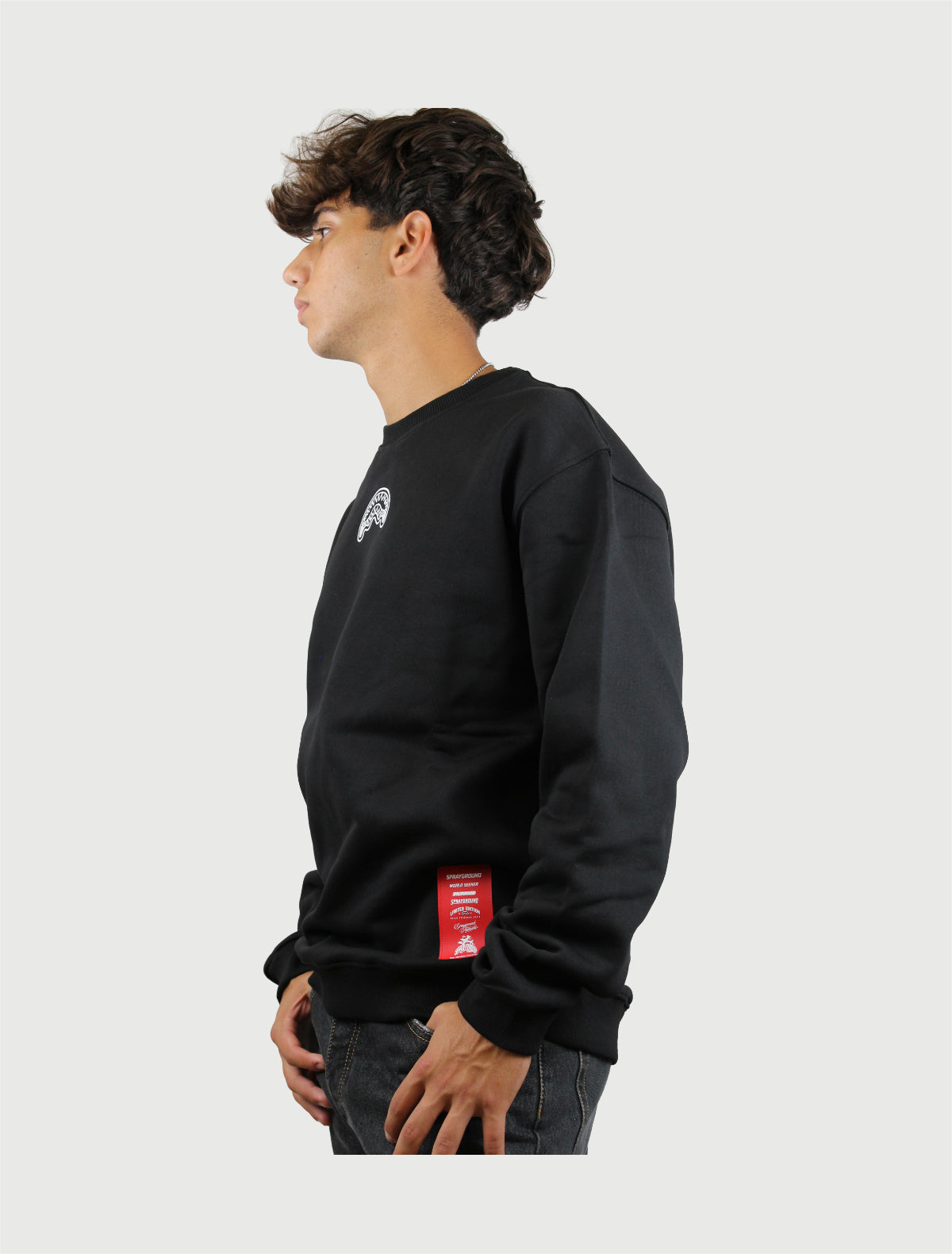 SPRAYGROUND - REGULAR CREWNECK-2
